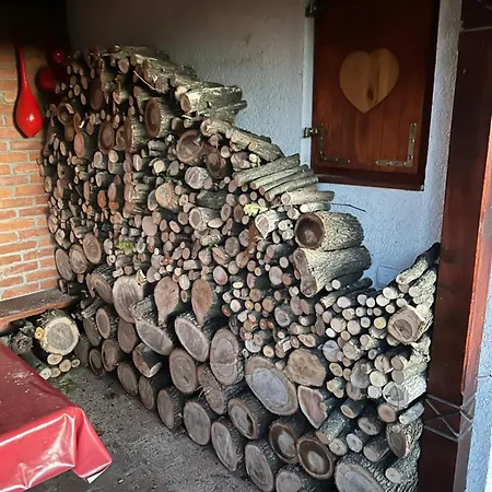 펜션 Planinska Kuca Bogdanovic *