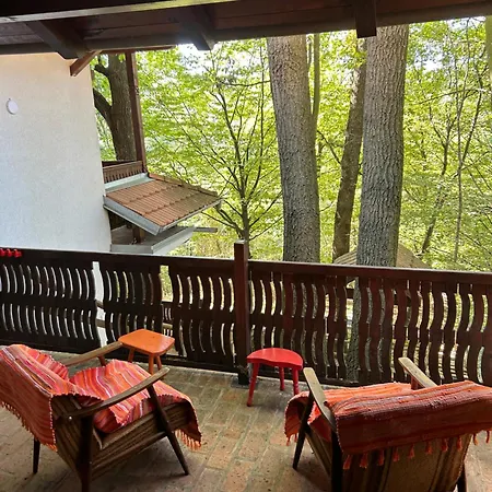 Planinska Kuca Bogdanovic 펜션 Jarmenovci